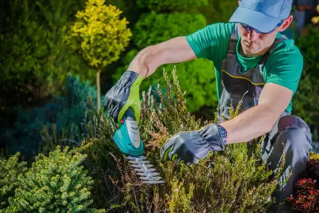 landscaping services Tarrytown